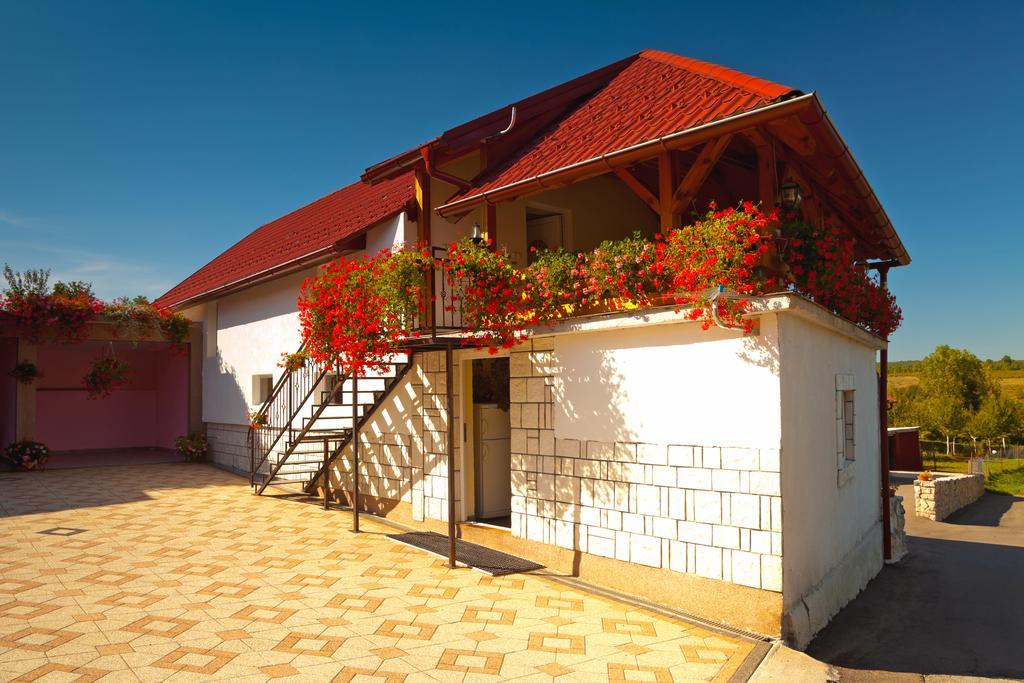 Apartment Jakovljevic Gornji Vaganac ห้อง รูปภาพ